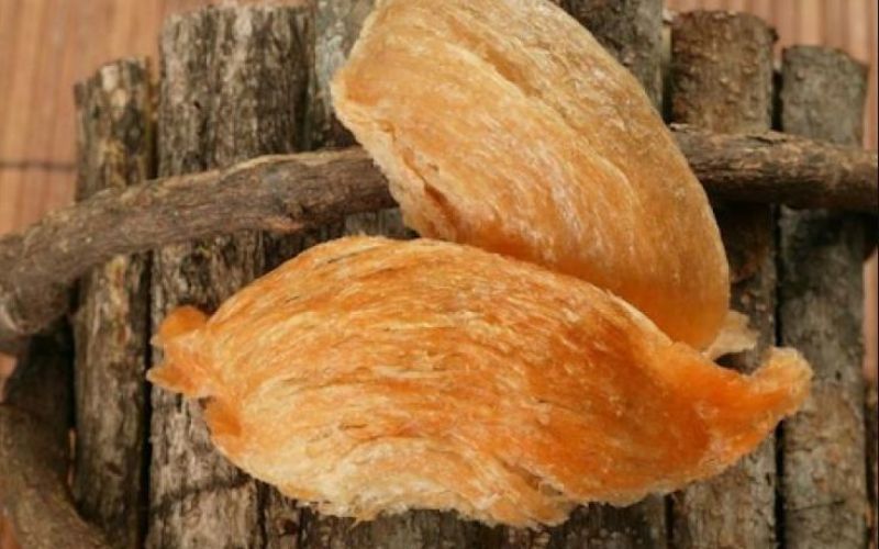 Tổ yến chuyển sang màu vàng không đồng đều