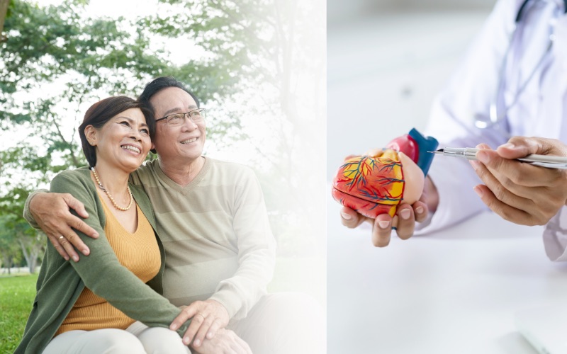 Yến sào giúp duy trì ổn định đường huyết và tim mạch