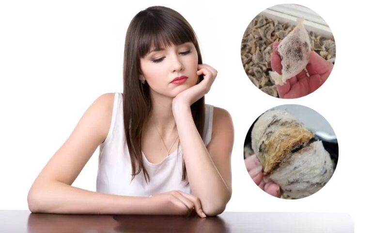 Nên tránh ham rẻ mà mua phải hàng kém chất lượng